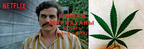 спайс Абаза