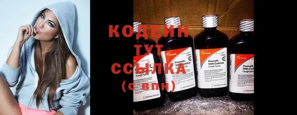 индика Гатчина