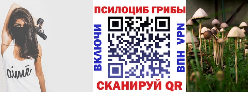 мега зеркало  Лакинск  Псилоцибиновые грибы мицелий  наркошоп 